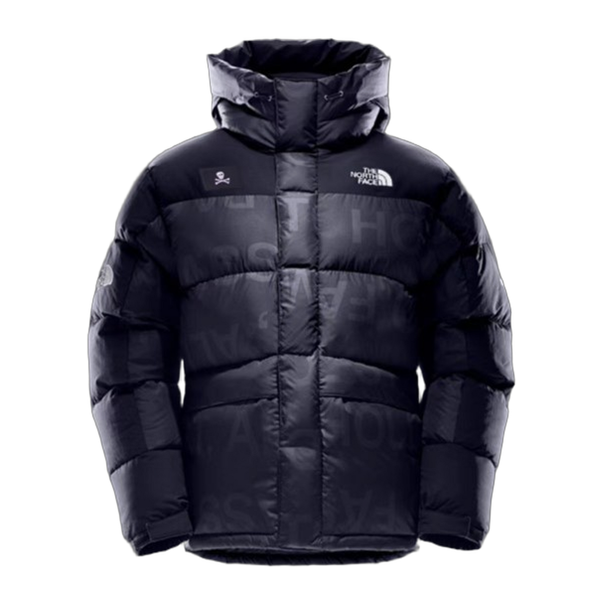 The North Face Urban Exploration Down Parka – Style 5J27