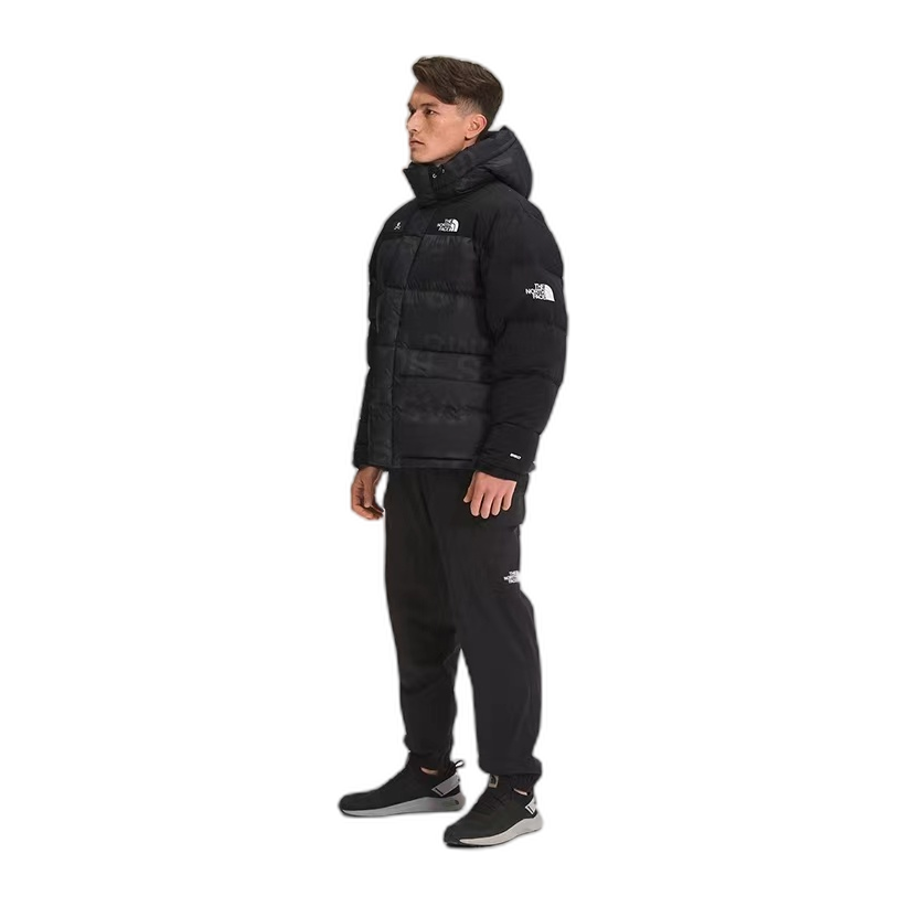 The North Face Urban Exploration Down Parka – Style 5J27